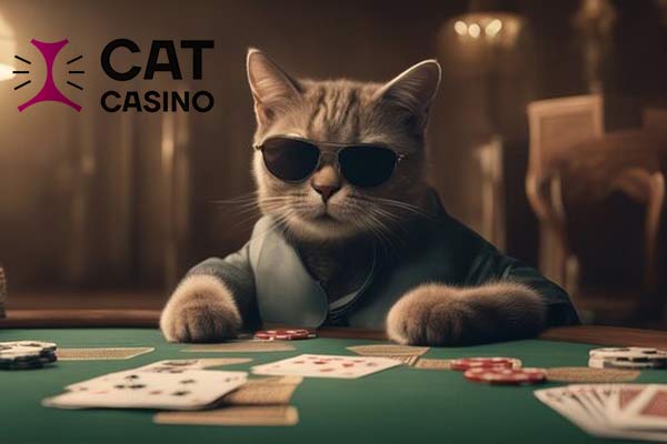 Cat Casino выдают 50% к пополнению баланса