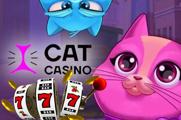 В Cat Casino назвали лучшие игры недели